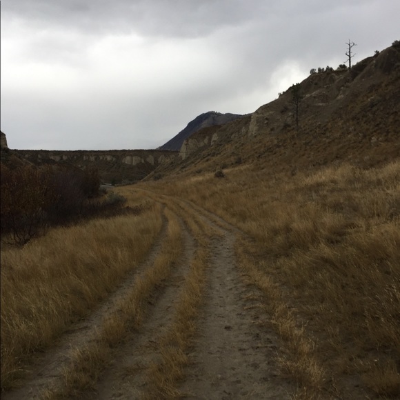 Meet your Posher, Lonna - Picture 1 of 1